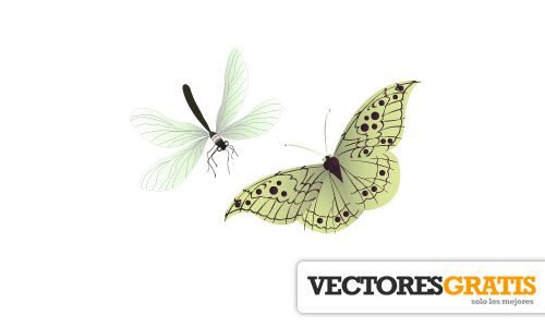 Descargar Vector Gratis Mariposa Y Libélula Vector